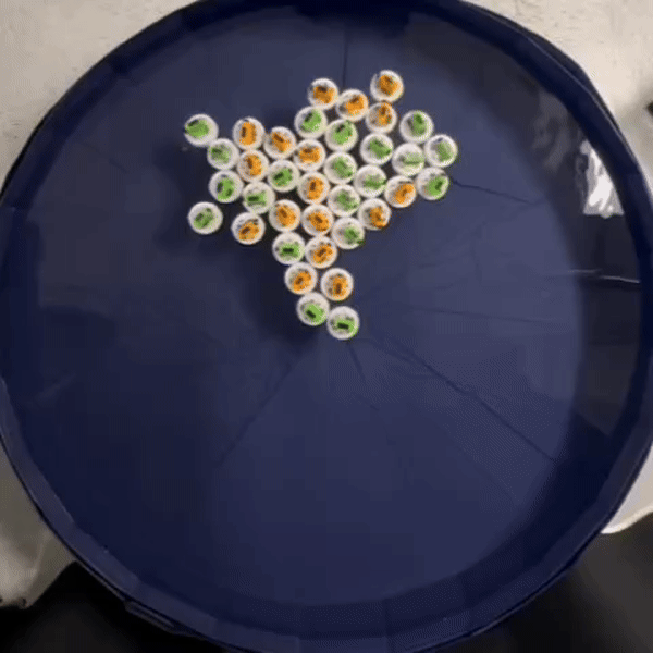 image2.gif