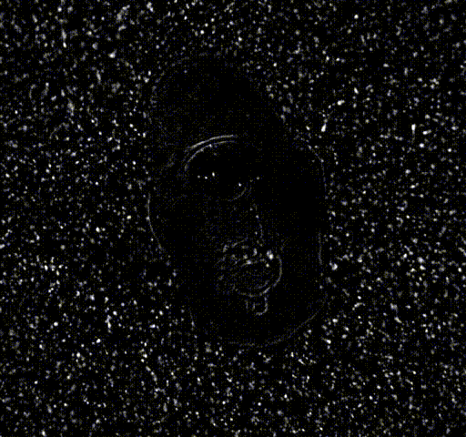 Untitled.gif