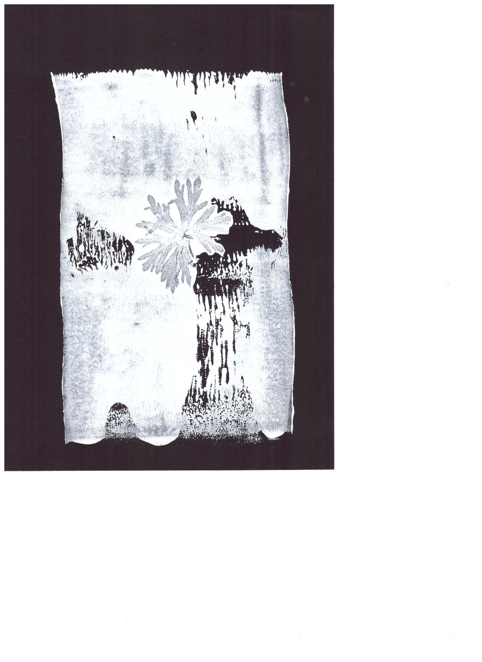 blanc sur noir 5
