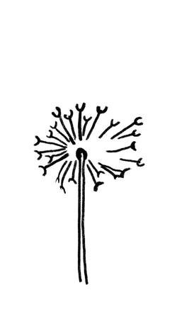 am2.png