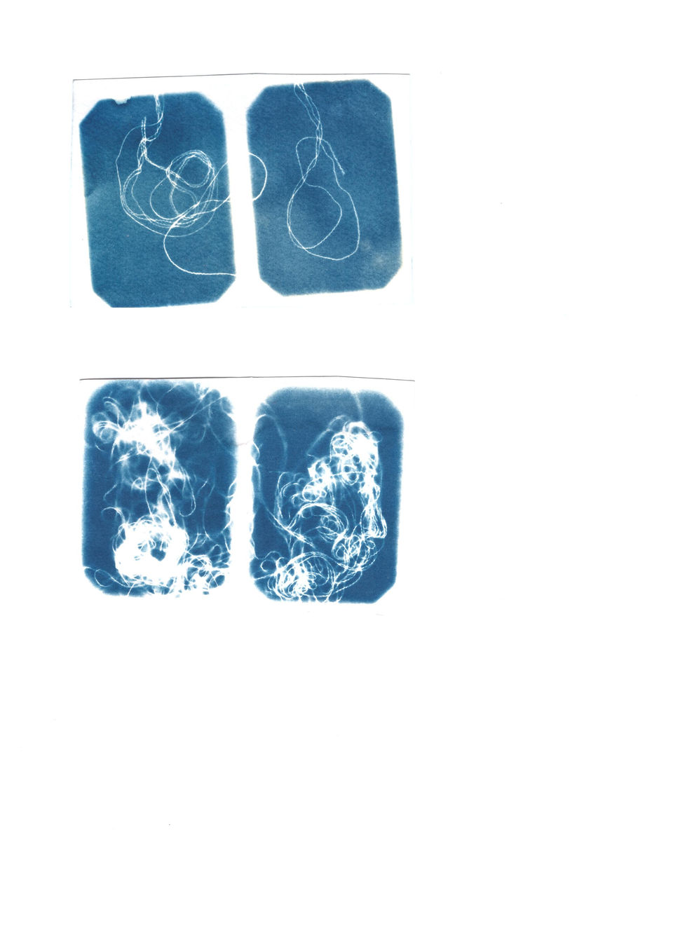 cyano fil fin petit 2