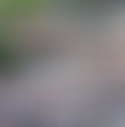 Un hombre murió y hubo enfrentamientos y destrozos durante los festejos del mundial en Buenos Aires