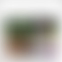 Lahjakortit netistä