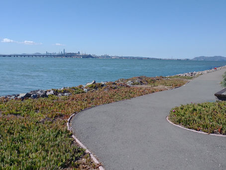 Postcard #6 Part 2: Oakland, CA, and Going Home Early