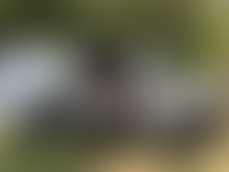 The Space We Need: Thoughts on Van Camping