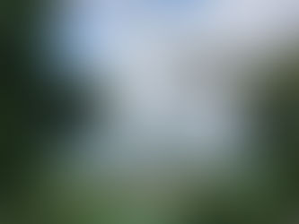 Postcard #2: Welcome to Mouna Farm