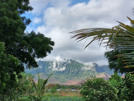 Postcard #2: Welcome to Mouna Farm