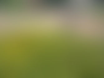 Postcard #3: Lessons from Mouna Farm