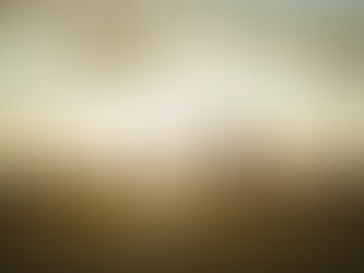 Wichtige Punkte für die Hochzeitsplanung in Österreich