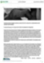 articles