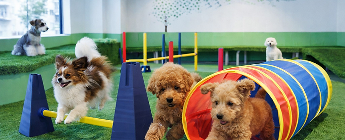 ChatGPT Image 2025年12月17日 07_14_28.png