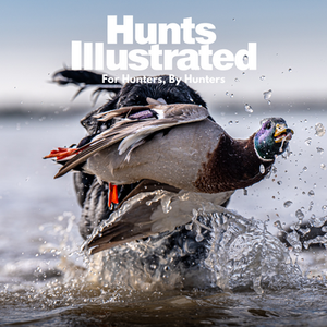 Chad Nolan - @cnolan5