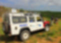 minefield-clearing.jpg