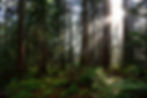 About-Us_Who-We-Are_Header-AdobeStock_381510340-reduced.jpg