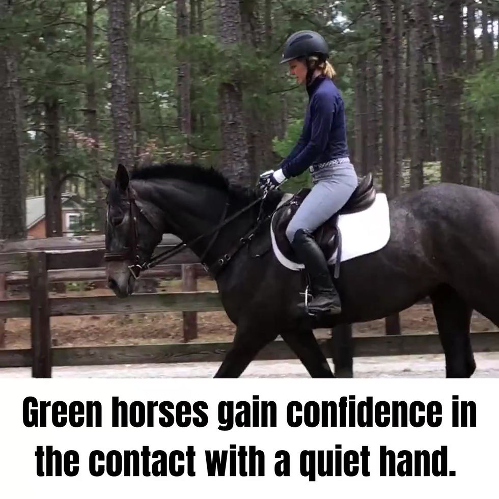 Thumbnail: Special !! Correct Connect 3 in 1 Training Breastplate