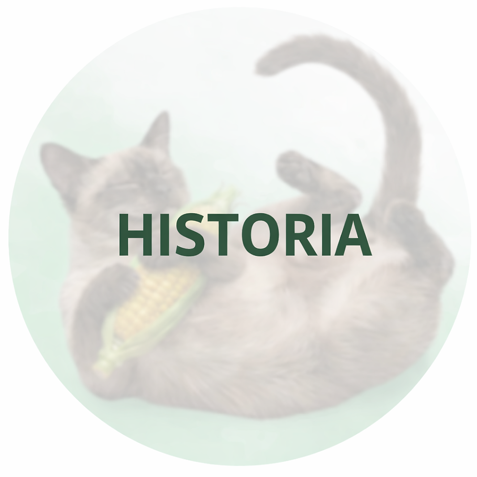 Historia Amocléu