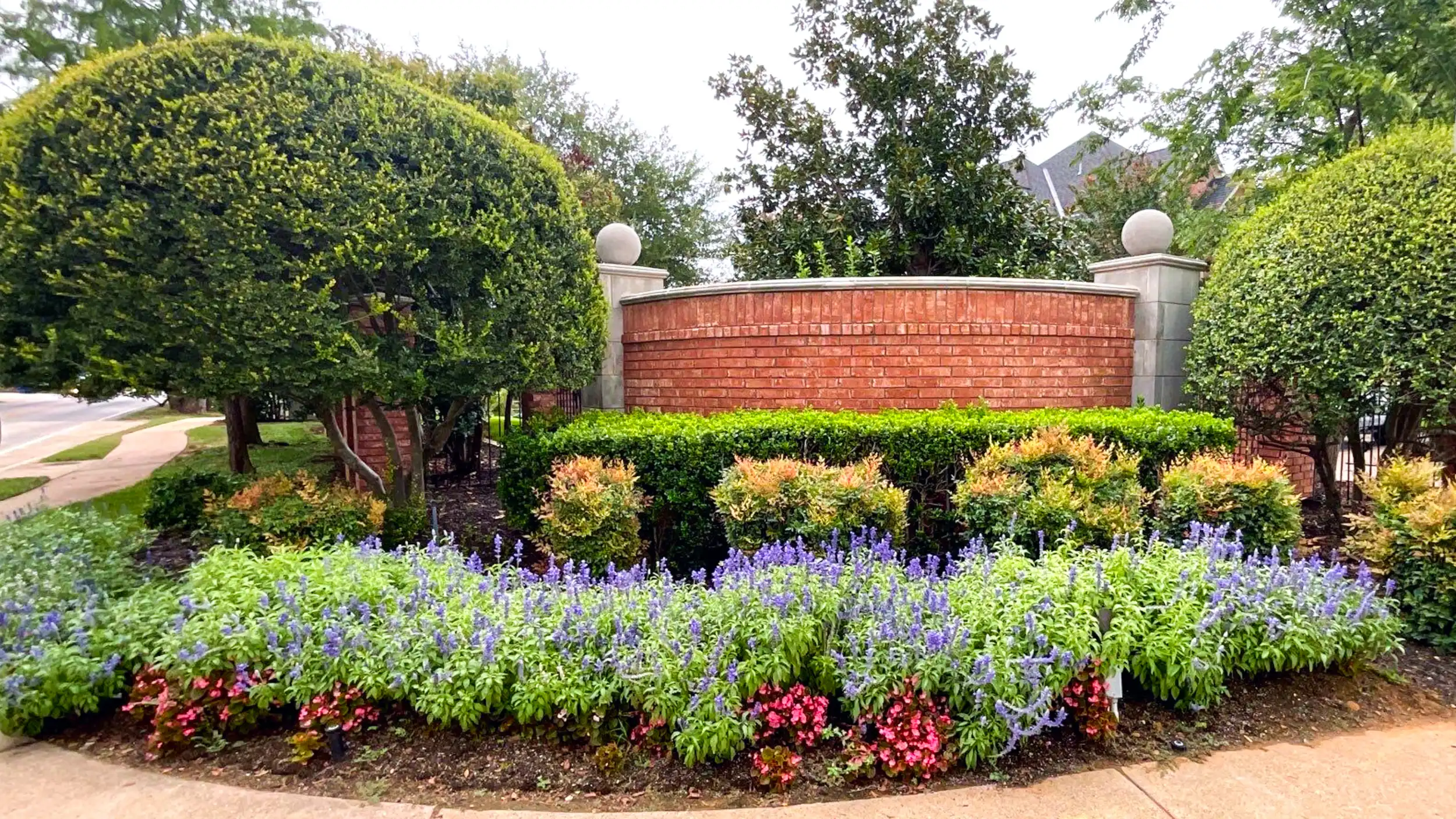 Premier-Oaks-Landscape-Management-20231002-1.webp
