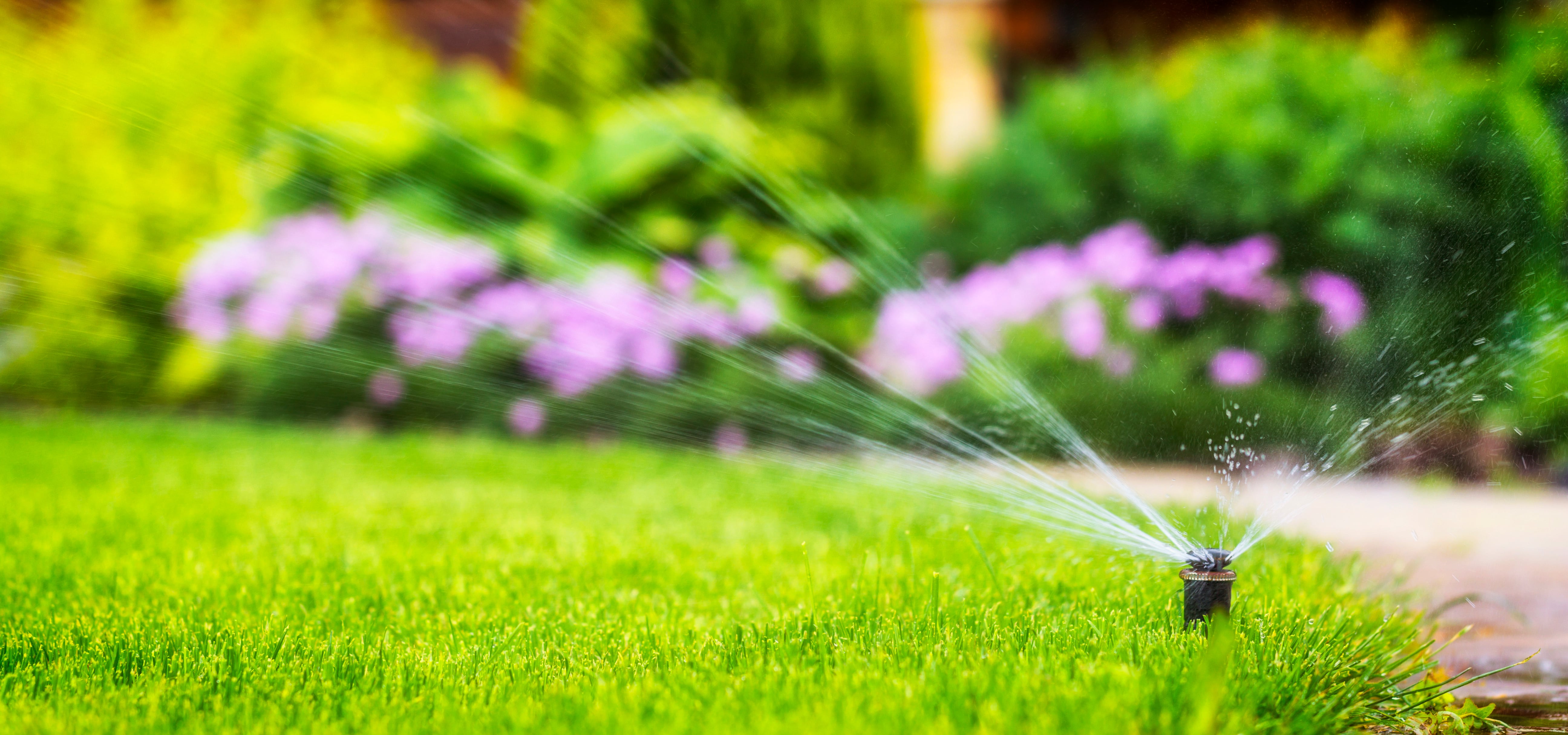 sherman oaks landscape maintenance