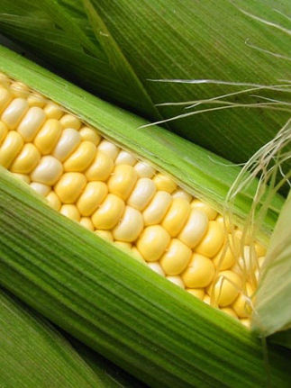 La Gastronomie Costaricaine