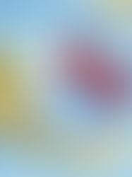 20% de touristes Français au Costa Rica en plus en 6 mois !!!