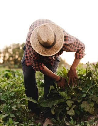 🇨🇷 Pura Vida ou la vie en mode débrouille