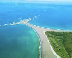 PARC MARINO BALLENA 