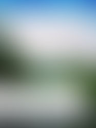 Authentique Costa Rica, le livre