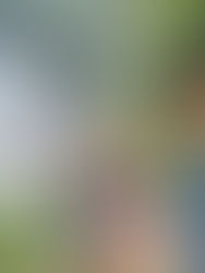 🌿 La Ceiba Ecoadventures : le vrai Costa Rica