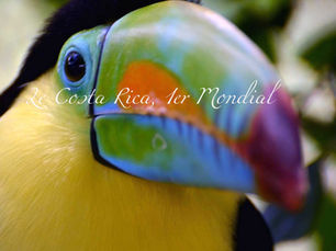 Le Costa Rica, numero 1 Mondial en ...