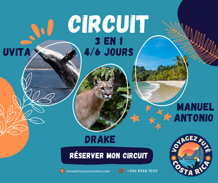 Circuit tout compris Manuel Antonio - Uvita - Drake