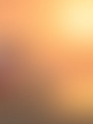 Les 5 raisons de passer Noël au Costa Rica