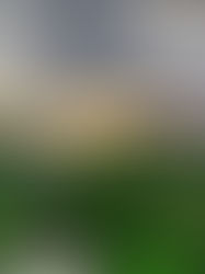 🌎 Le Costa Rica à la Croisée des Chemins : Et si le Tourisme Redevenait un Gardien des Communautés ?