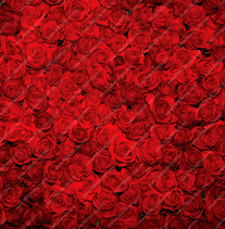 Fabric Red Roses