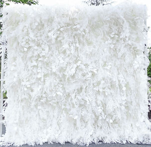 white pampas wall-1.jpg