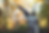 Design ohne Titel (52).png