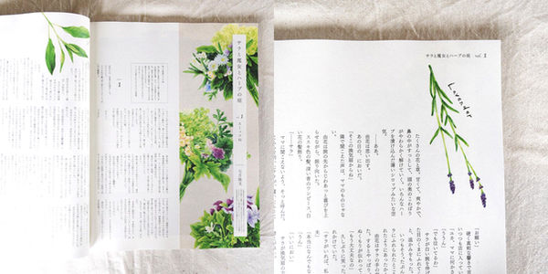 リンネル 七月隆史さんの連載小説の挿絵を担当します。