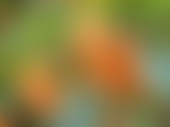 秋の香りといえば