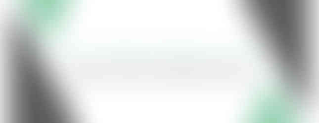 Eleni Bandy Graphic Design and Branding for Full Sail University Writing Conference