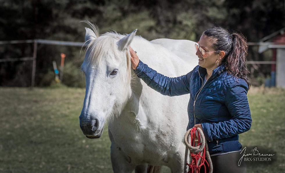 Horses are magical