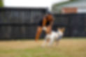 DSC04091.JPG