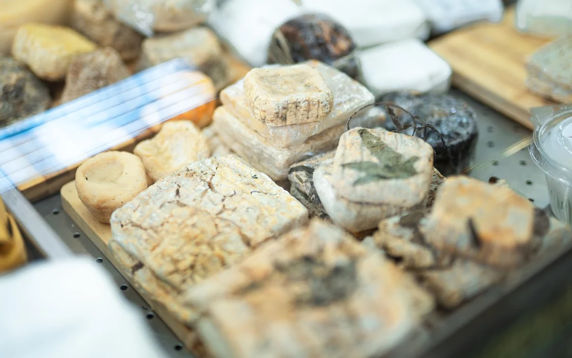 LE DECLINAZIONI DEL LATTE Tuscia e Maremma laziale