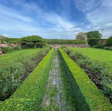 hedge trimming.jpeg