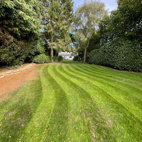 Grass cutting.jpeg