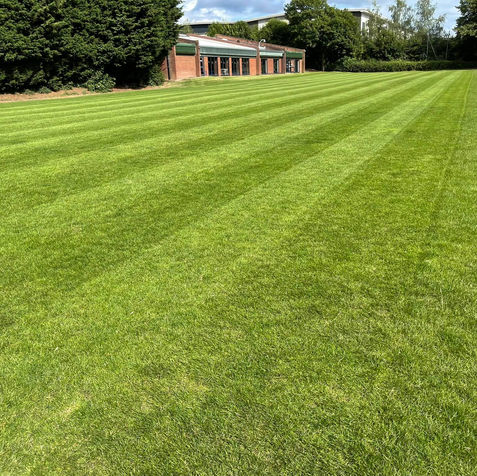 grass cutting 2.jpeg