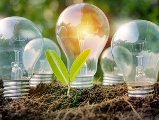 Ecobonus (Detrazioni per interventi di Efficientamento Energetico)