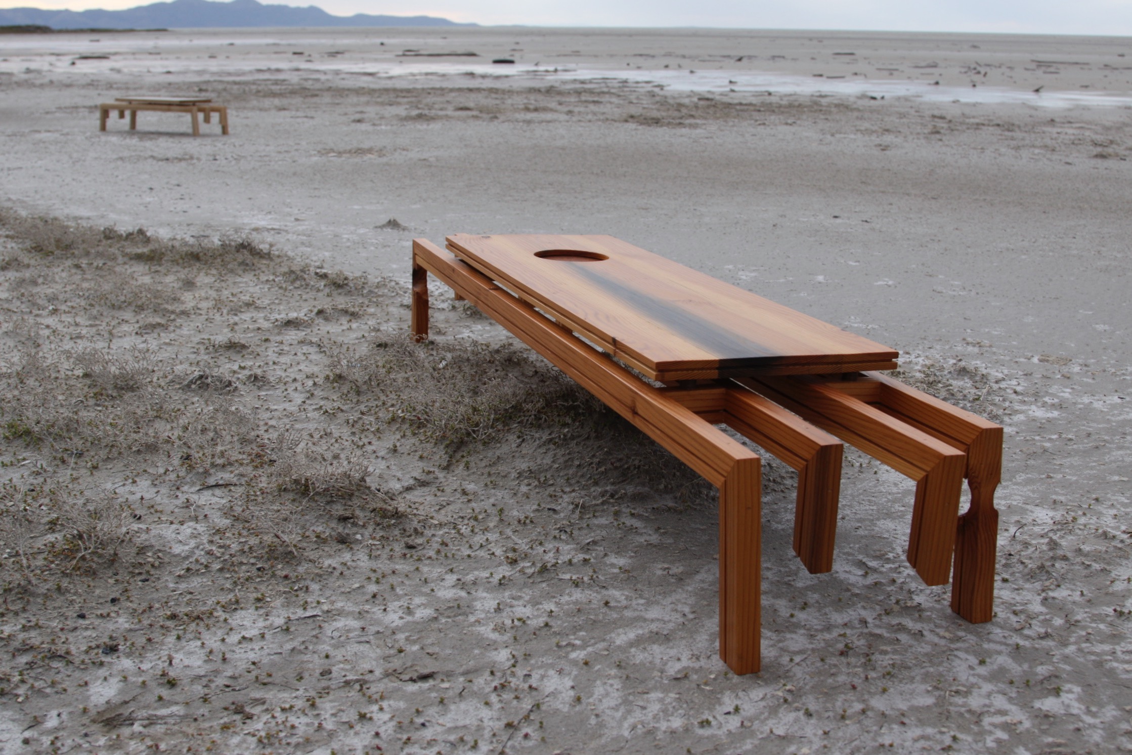 medtable (5)