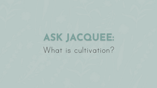 Ask Jacquee: What is cultivation? 