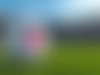 Ceará, Fortaleza, Juventude e Sport foram Rebaixados do Brasileirão 2025: como cada clube caiu