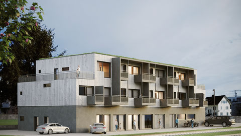 Projekt Grüzi Rapperswil_Fachada_high.jpg