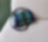 20230419_151121_edited.jpg
